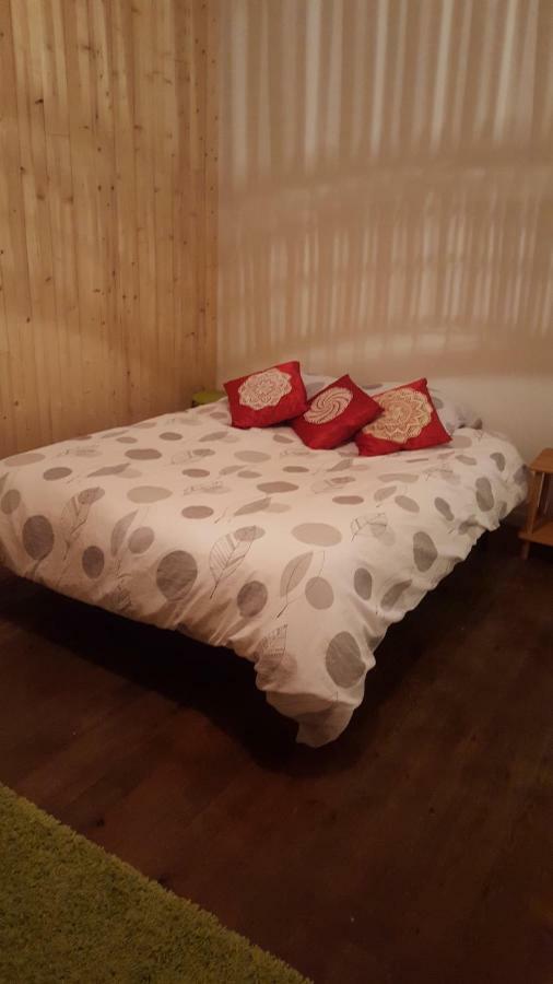 74 Rue Pasteur Διαμέρισμα Lavelanet Εξωτερικό φωτογραφία