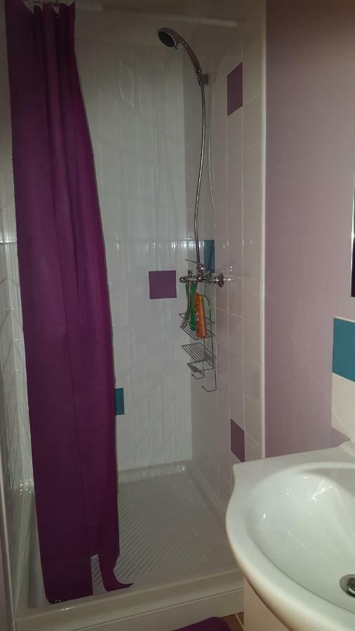 74 Rue Pasteur Διαμέρισμα Lavelanet Εξωτερικό φωτογραφία